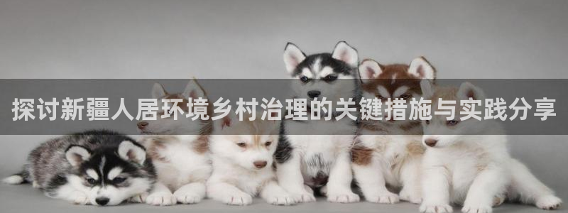 凯发官方网站：探讨新疆人居环境乡村治理的