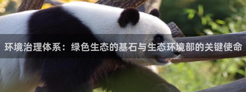天生赢家K8：环境治理体系：绿色生态的基石与生态环境部的关键使命