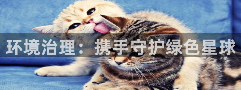 天生赢家K8|环境治理：携手守护绿色星球