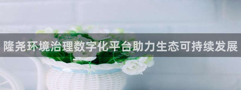 凯发k8国际首页登录|隆尧环境治理数字化平台助力生态可持续发展