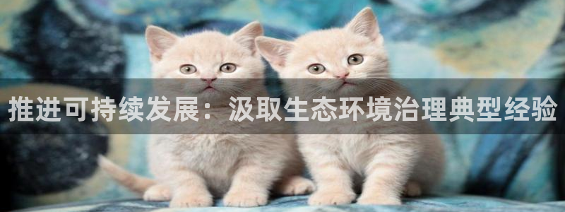 凯发唯一官方网站|推进可持续发展：汲取生态环境治理典型经验