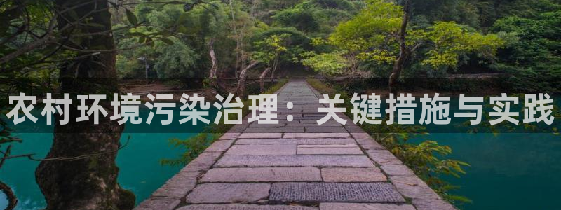 农村环境污染治理：关键措施与实践