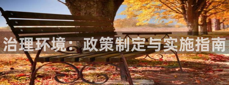凯发官网入口首页|治理环境：政策制定与实