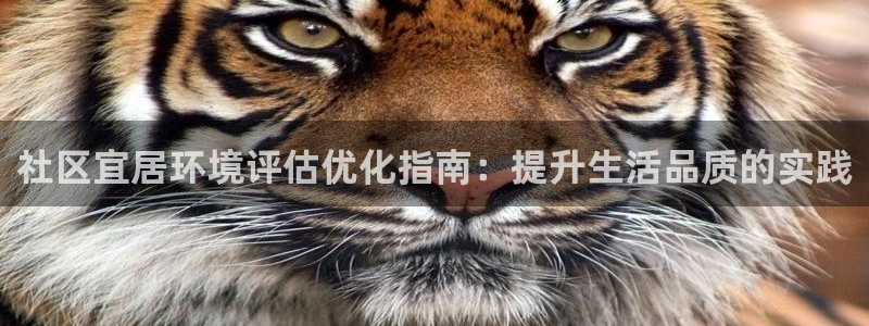 凯发k8旗舰厅注册登录|社区宜居环境评估优化指南：提升生活品质的实践