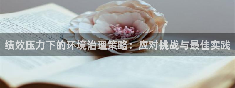 凯发k8国际唯一|绩效压力下的环境治理策略：应对挑战与最佳实践