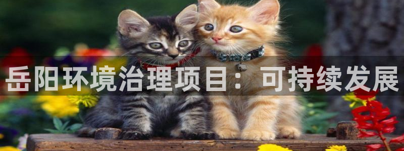 百家乐凯发k8|岳阳环境治理项目：可持续发展