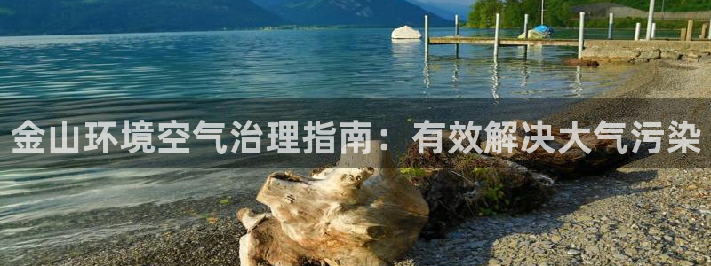 凯发k8国际首页登录|金山环境空气治理指南：有效解决大气污染