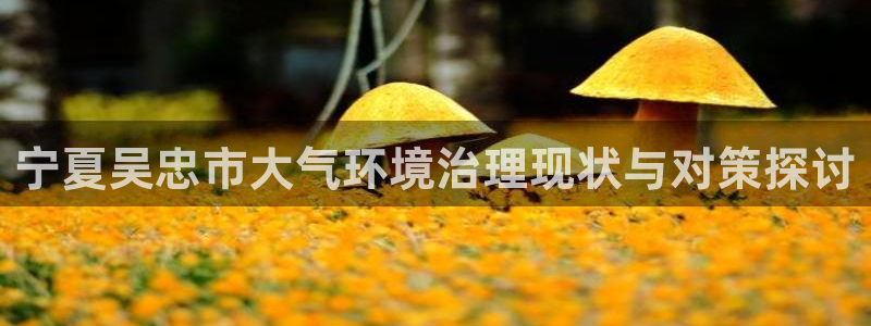 凯发k8官网下载客户端中心|宁夏吴忠市大气环境治理现状与对策探讨