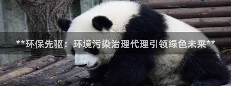 凯发国际官方网站|**环保先驱：环境污染