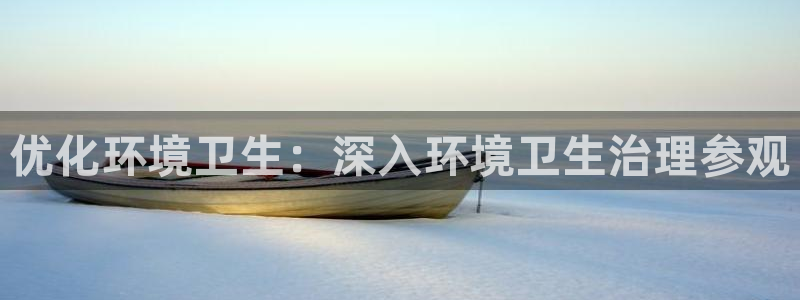 k8凯发中国|优化环境卫生：深入环境卫生治理参观