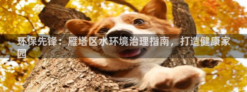 凯发k8国际唯一|环保先锋：雁塔区水环境治理指南，打造健康家
园